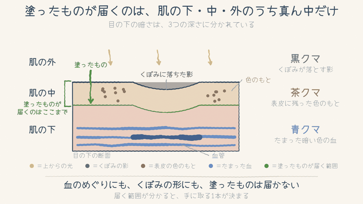 目の下の断面図。肌の外ではくぼみに影が落ち、肌の中には表皮に残った色のもとがあり、肌の下には暗い色の血がたまっています。塗ったものが届くのはまん中の肌の中までで、その下の血のめぐりにも、上のくぼみの形にも届かないことを示しています
