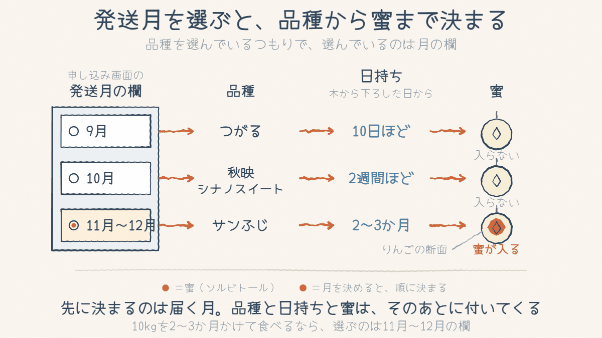 申し込み画面の発送月の欄から矢印が伸び、9月はつがる、10月は秋映とシナノスイート、11月〜12月はサンふじへつながる図。それぞれの日持ち（10日・2週間・2〜3か月）と、サンふじにだけ蜜が入ることを並べている