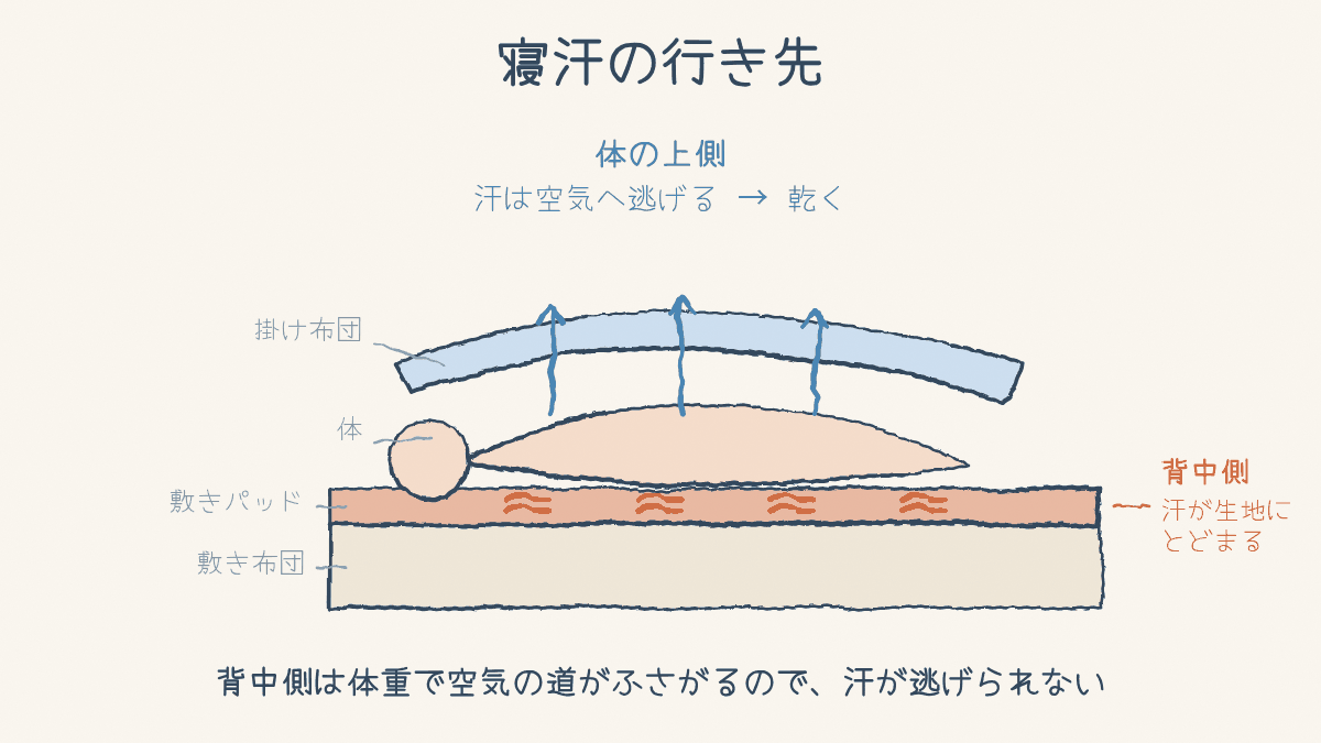 寝ている人の断面図。上側の汗は空気へ逃げるが、背中側は体重で空気の道がふさがれて生地にとどまる
